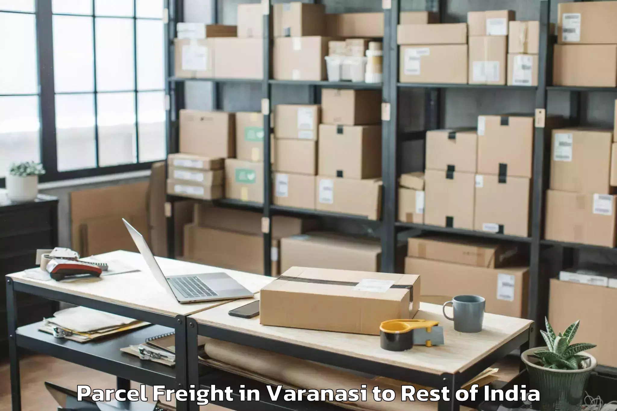 Comprehensive Varanasi to Pampore Parcel Freight